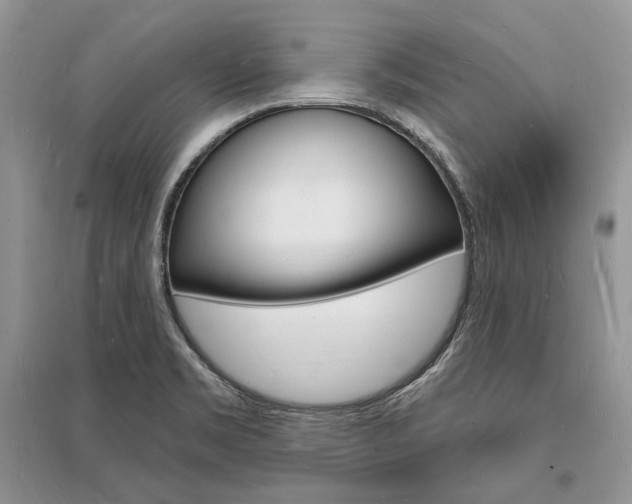 X0000096391469200801241105