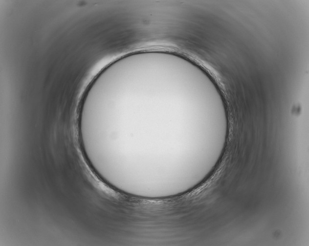 X0000096391470200801241105