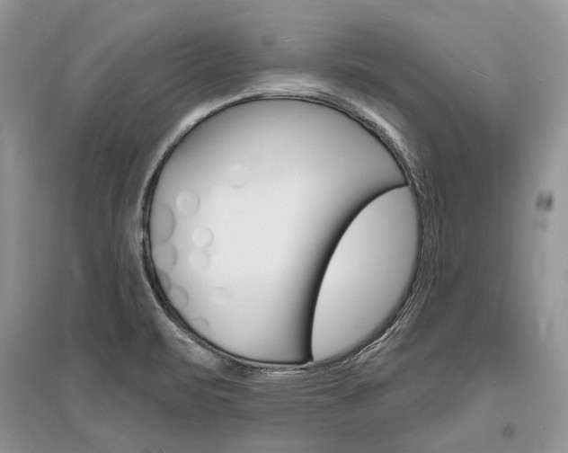 X0000096391471200801241105