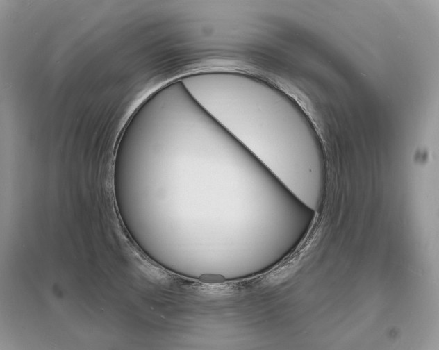 X0000096391473200801241105