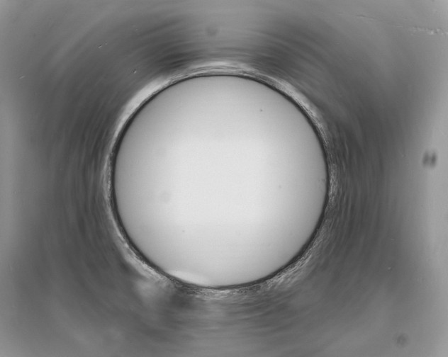 X0000096391474200801241105