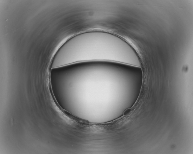 X0000096391476200801241105