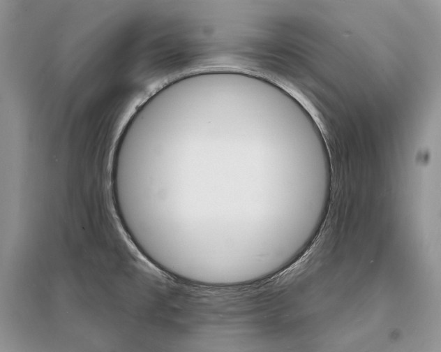 X0000096391477200801241105