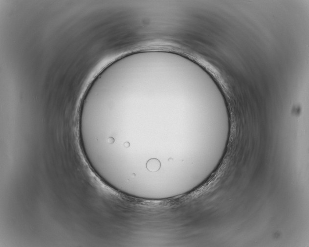 X0000096391478200801241105