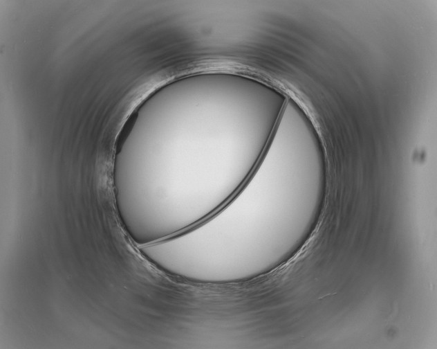 X0000096391481200801241105