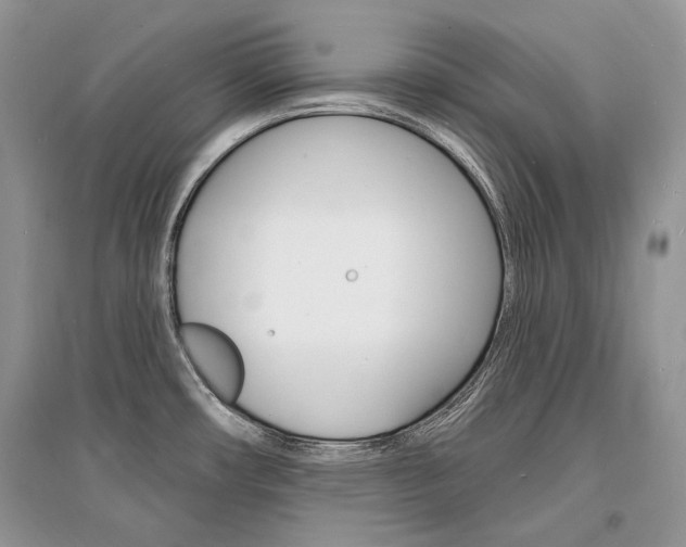 X0000096391482200801241105