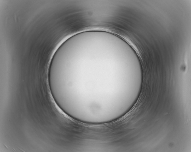 X0000096391484200801241105