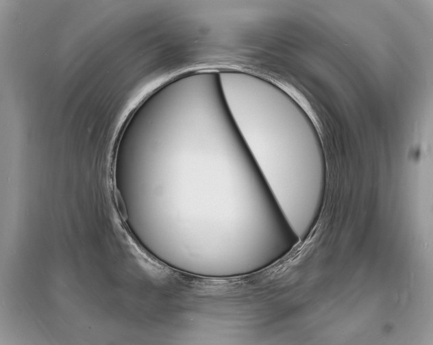 X0000096391485200801241105