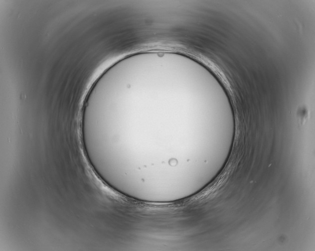 X0000096391486200801241105