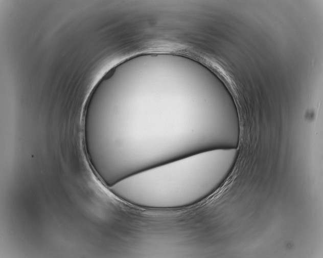 X0000096391487200801241105