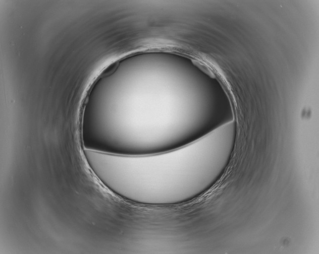 X0000096391488200801241105
