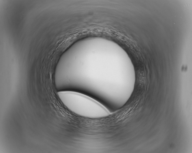 X0000096391489200801241104