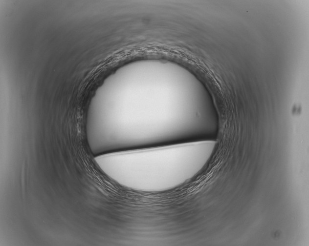 X0000096391490200801241104