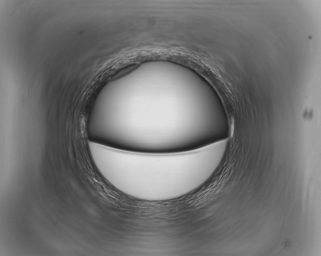X0000096391492200801241104