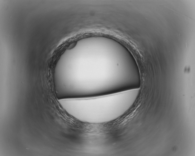 X0000096391494200801241104