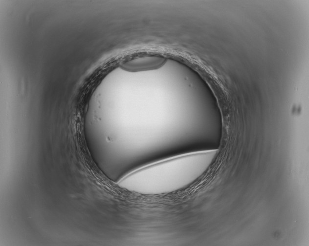 X0000096391495200801241104