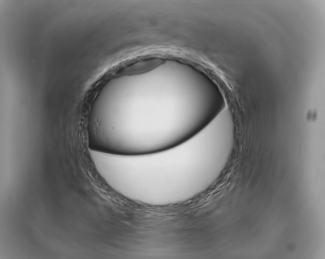 X0000096391496200801241104