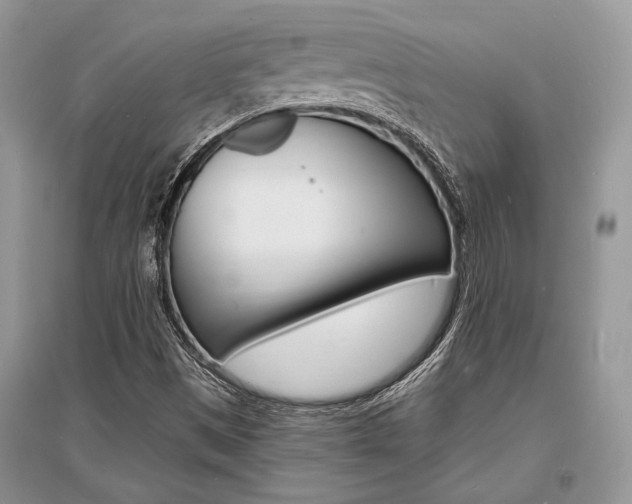 X0000096391497200801241104