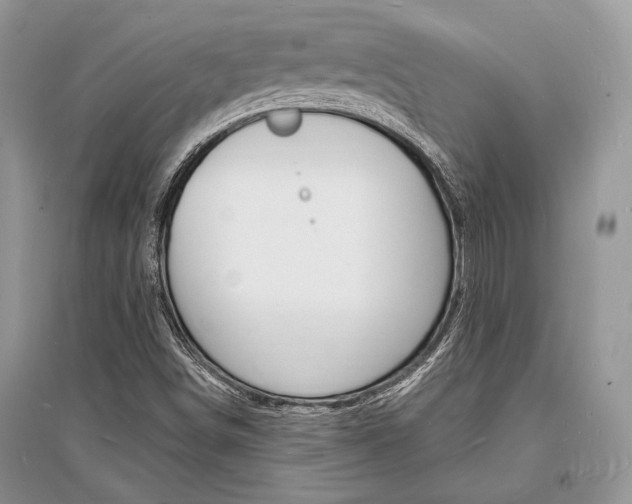 X0000096391498200801241104