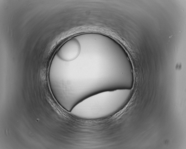 X0000096391499200801241104