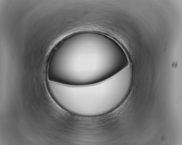 X0000096391500200801241104
