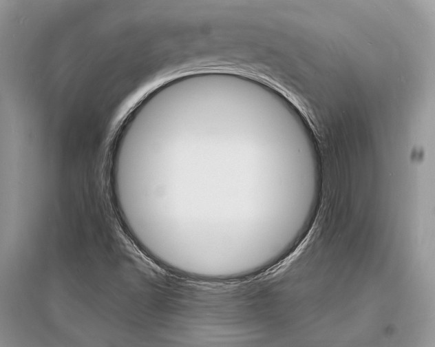 X0000096391502200801241104