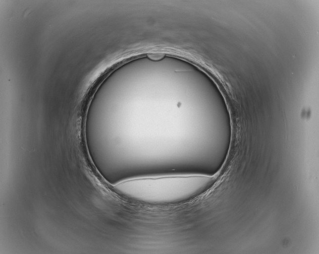 X0000096391503200801241104