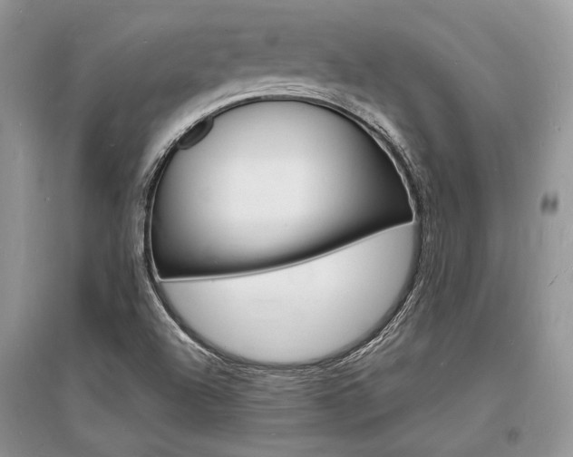 X0000096391504200801241104