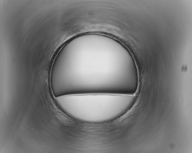 X0000096391505200801241104