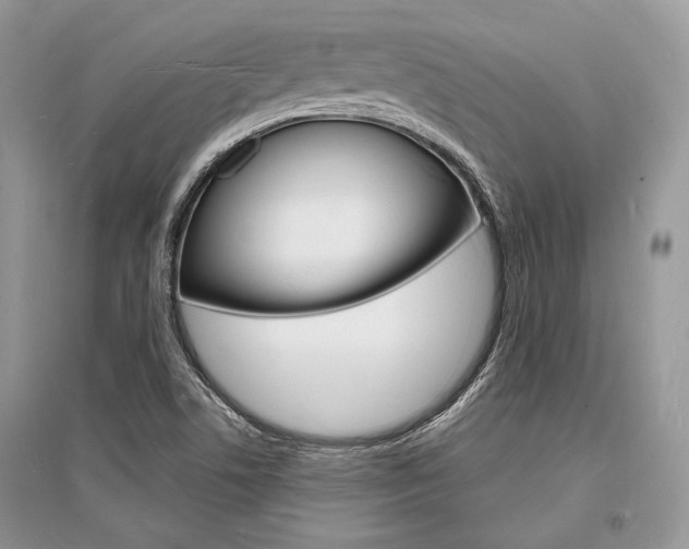 X0000096391506200801241104