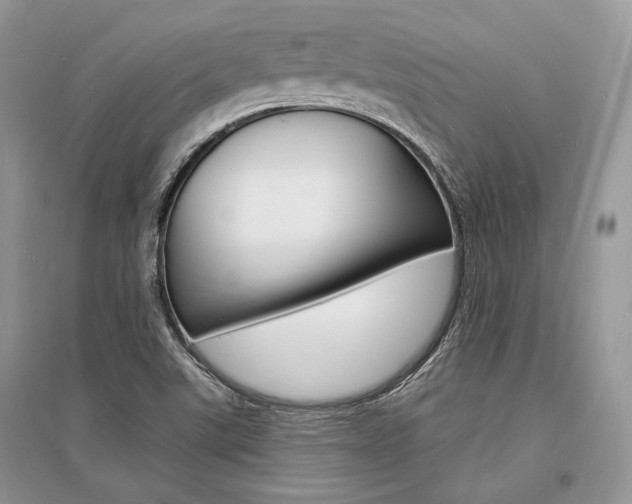 X0000096391507200801241104