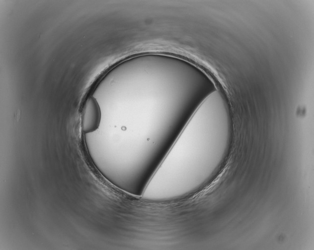 X0000096391509200801241104