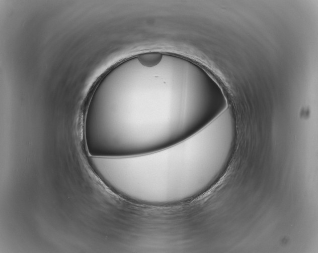 X0000096391510200801241104