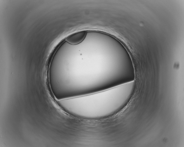 X0000096391511200801241104
