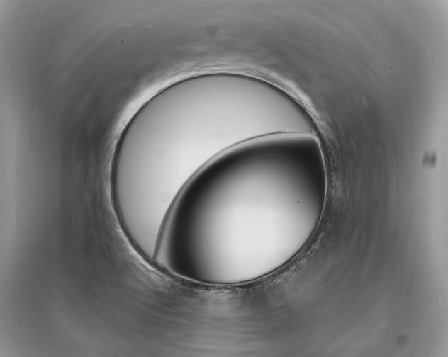X0000096391512200801241104
