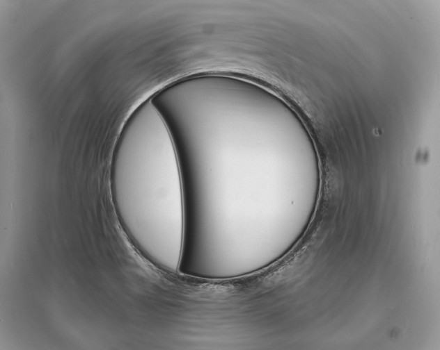 X0000096391513200801241104