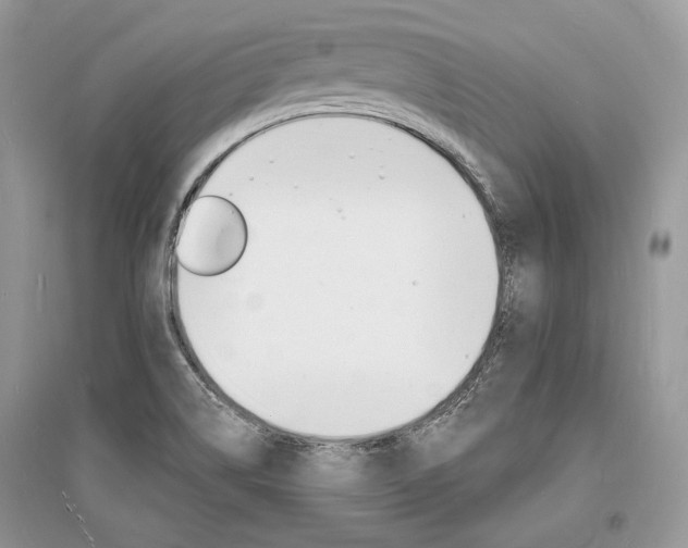X0000096391514200801241104