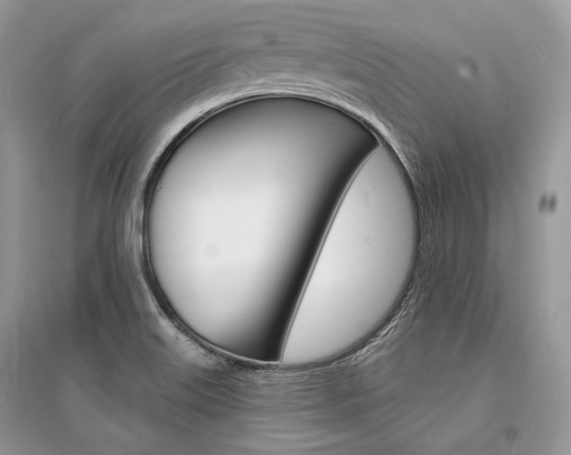 X0000096391515200801241104