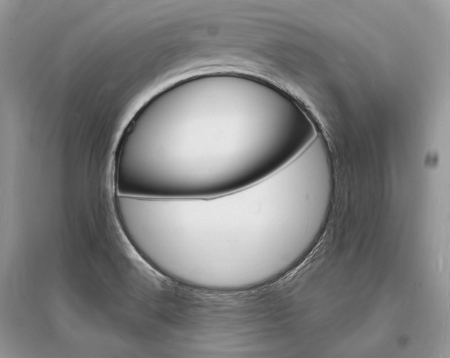 X0000096391516200801241104