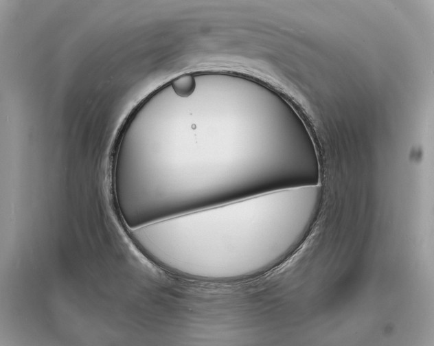X0000096391517200801241105