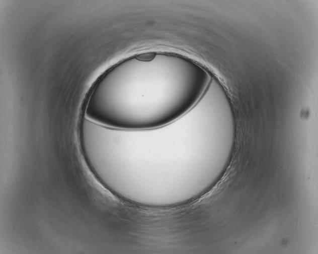 X0000096391518200801241105
