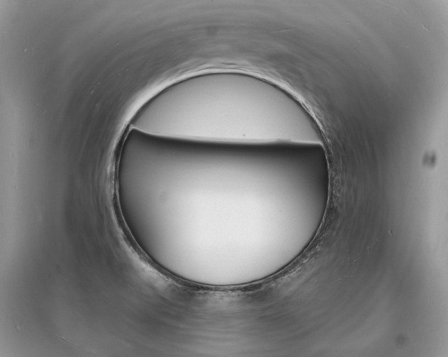 X0000096391519200801241105