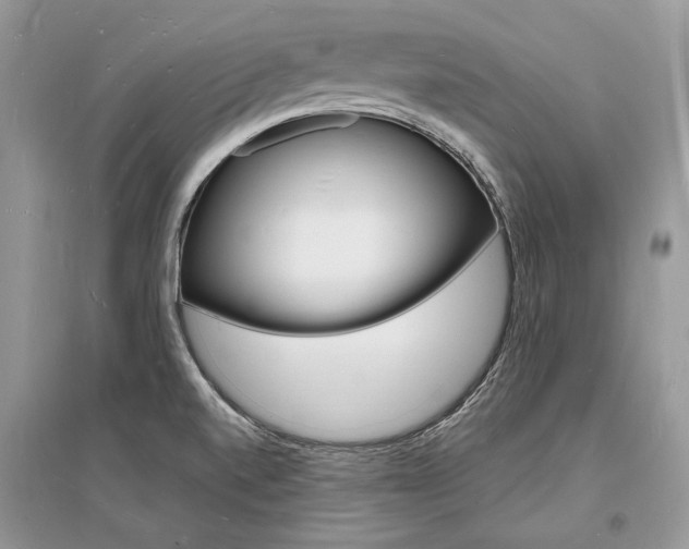 X0000096391520200801241105