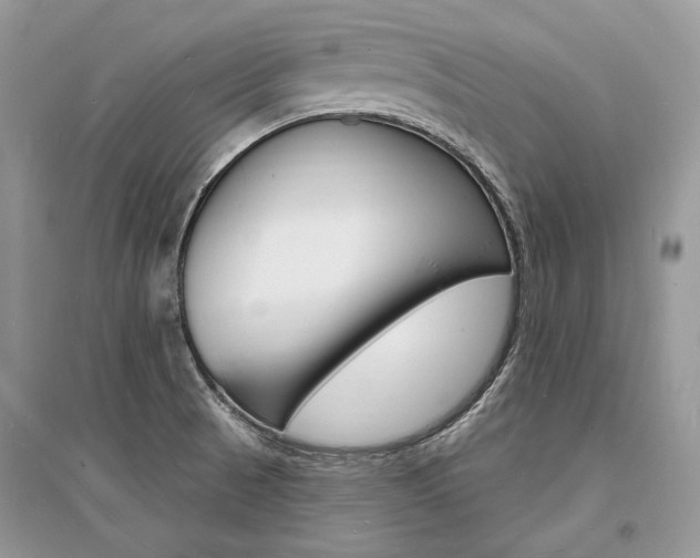 X0000096391521200801241105