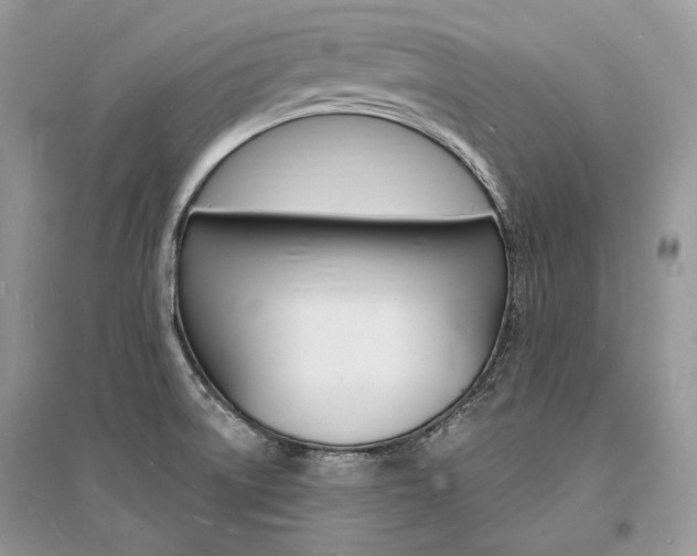 X0000096391522200801241105