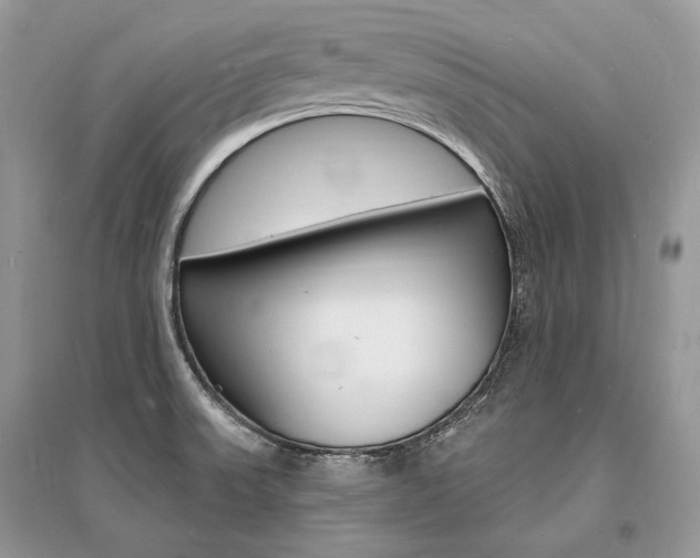 X0000096391523200801241105