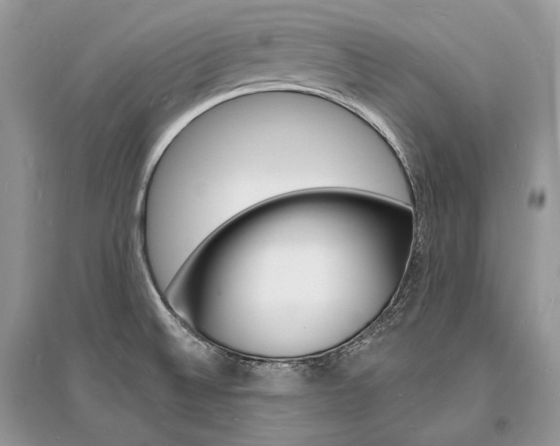 X0000096391524200801241105
