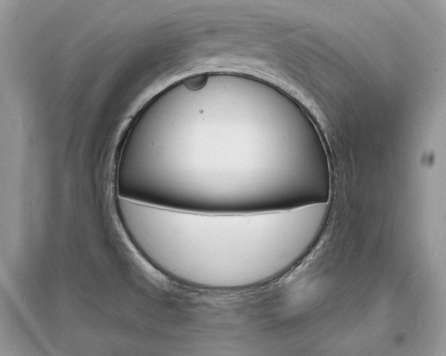 X0000096391525200801241105