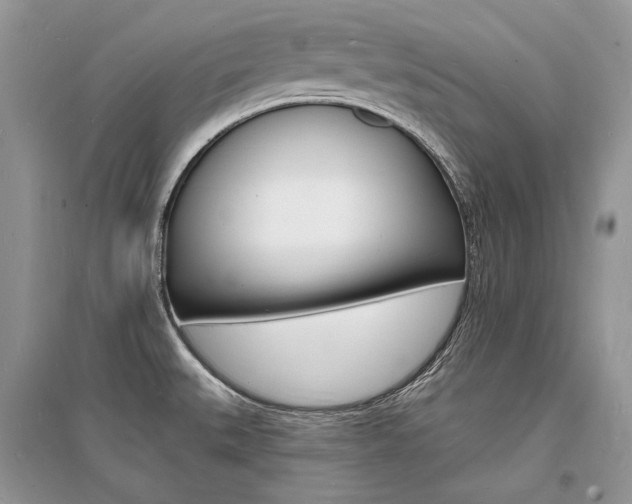 X0000096391527200801241105