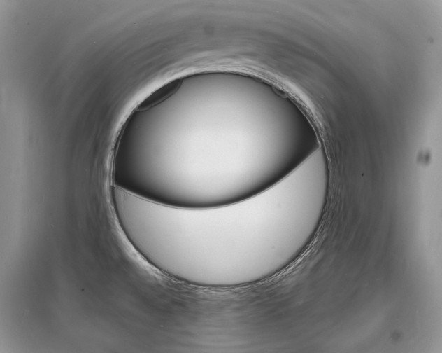 X0000096391528200801241105